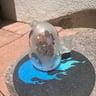 Small image 2