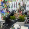 Small image 1