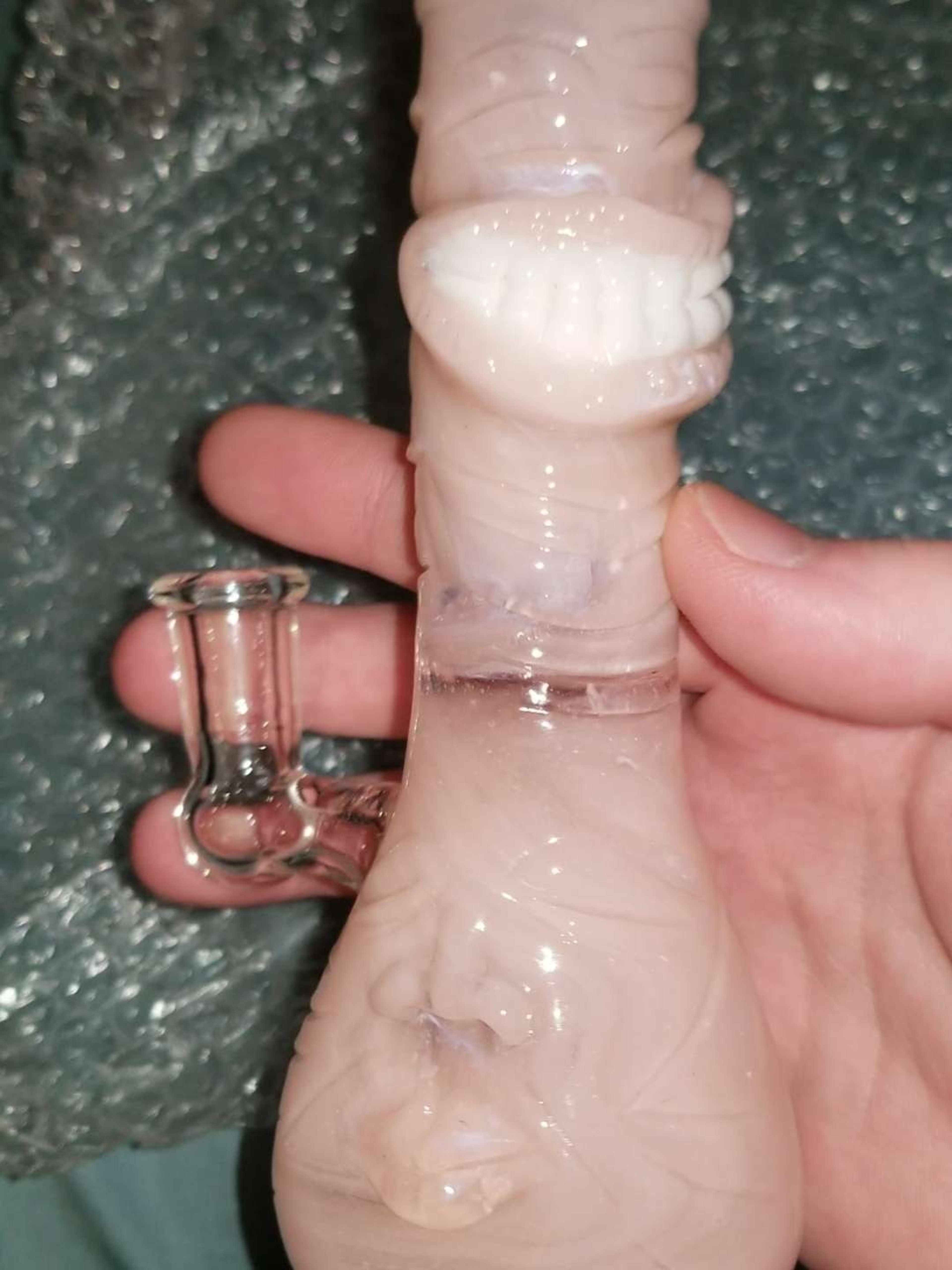 Preview pic of Gill seal mini tube.