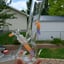 Small image 8