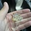 Small image 7