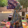 Small image 6