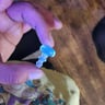Small image 1