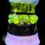 Small image 5