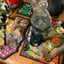 Small image 2