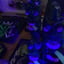 Small image 7