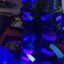 Small image 8
