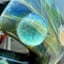 Small image 7