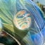 Small image 8