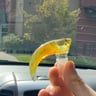 Small image 1