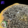 Small image 6
