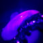 Small image 7