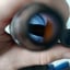 Small image 6