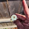 Small image 2