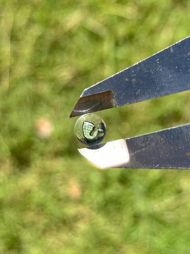 Preview pic of 8.5mm Sherlock Pipe Mille Pearl