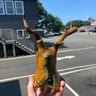 Small image 0
