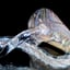 Small image 6