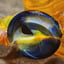 Small image 7