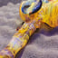 Small image 8