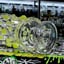 Small image 5