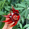 Small image 5