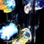Small image 5