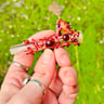 Small image 2