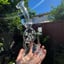 Small image 6