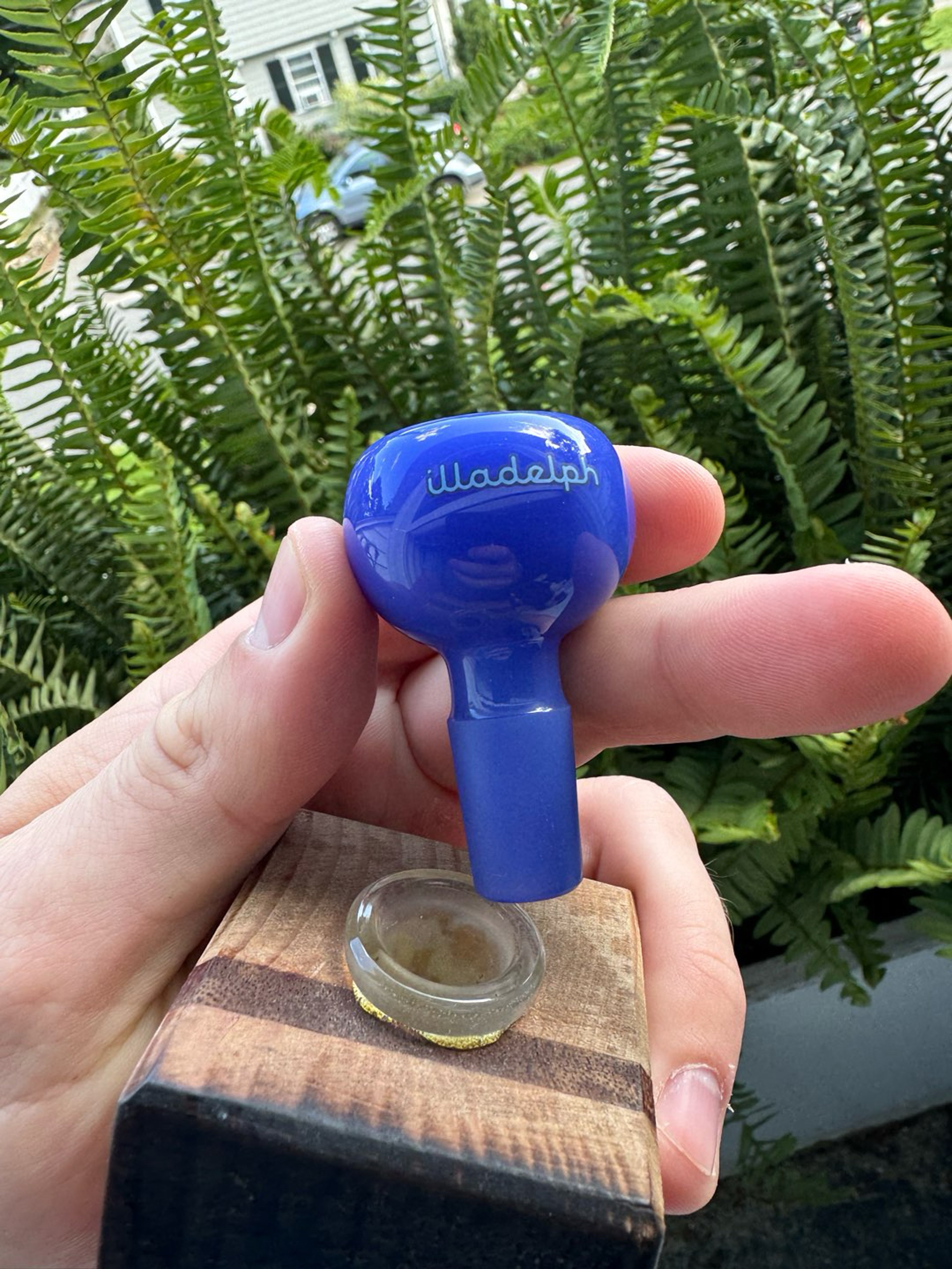 Preview pic of Illadelph Blue Cheese Slide