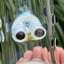 Small image 6