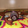 Small image 3