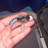 Small image 5