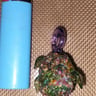 Small image 1