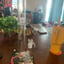 Small image 5