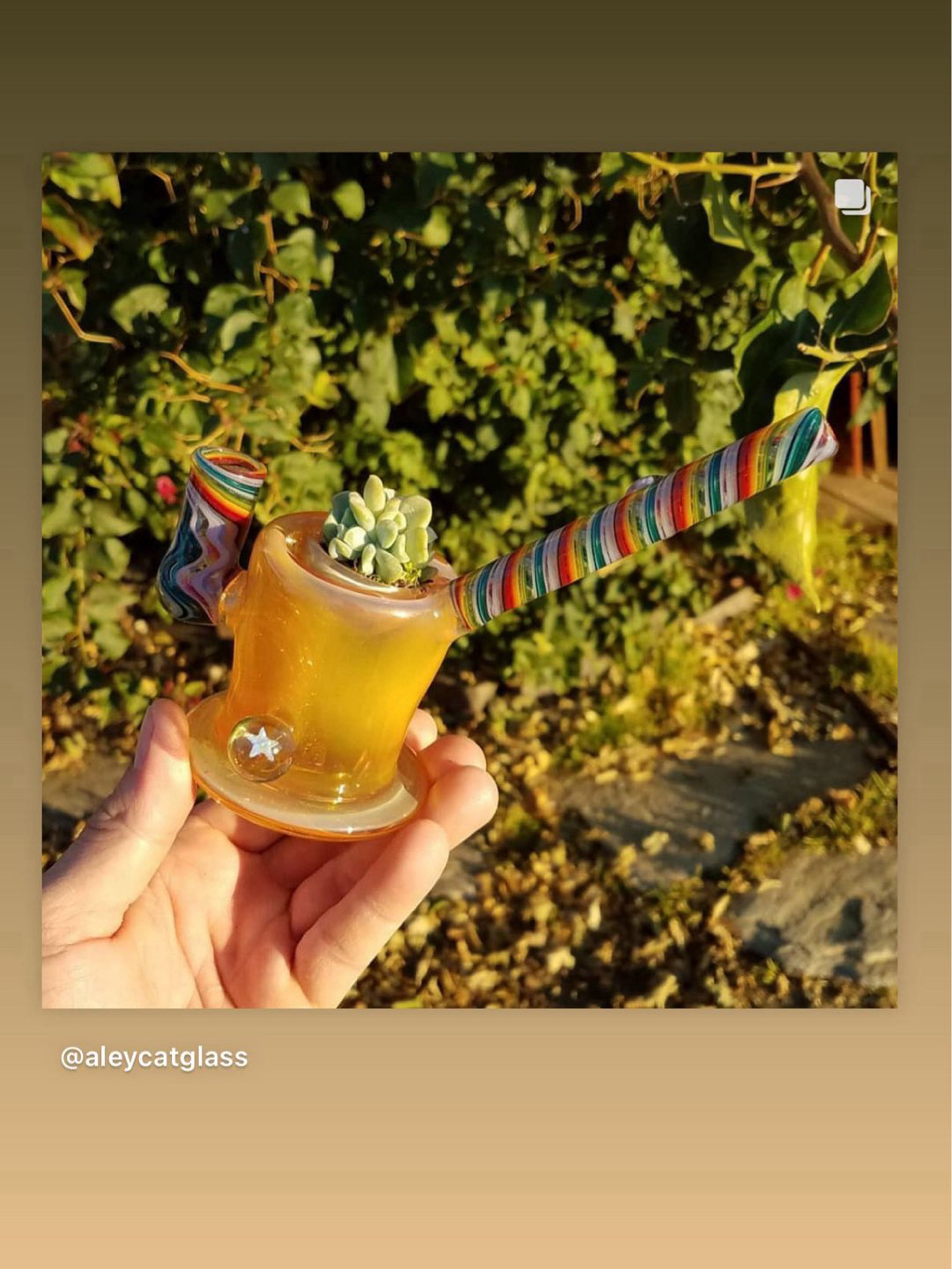 ALEYCATGLASS SUCCULENT PIECE image 0