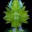 Small image 6