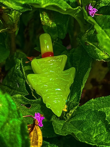 Preview pic of Elks that run Arrowhead pendy