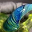 Small image 6