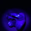 Small image 8