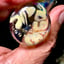 Small image 7