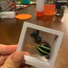 Small image 4