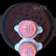Small image 6