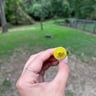 Small image 2
