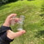 Small image 9