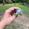 Small image 2
