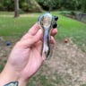 Small image 3
