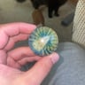 Small image 2