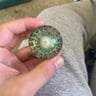 Small image 0