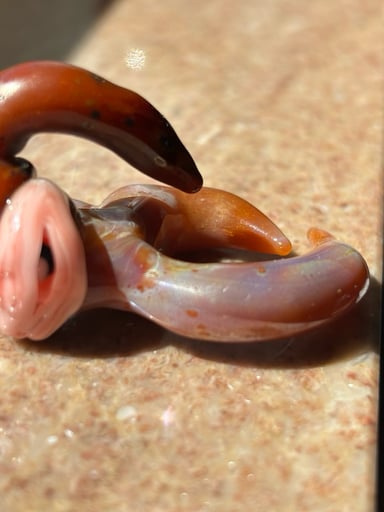 Preview pic of Experimental Horn Eye pendant