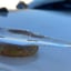 Small image 9